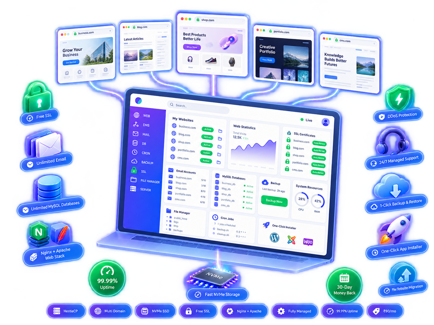 Multi Domain Hestia Panel Hosting India